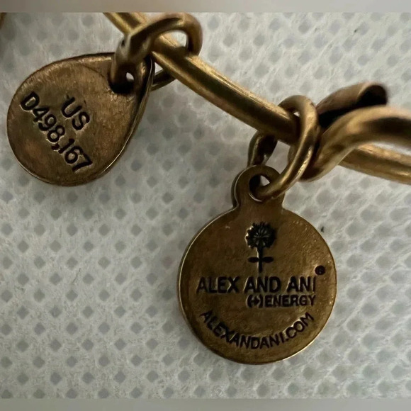 Alex and Ani | Mother/child Hand in Hand charm bracelet. - Picture 8 of 12